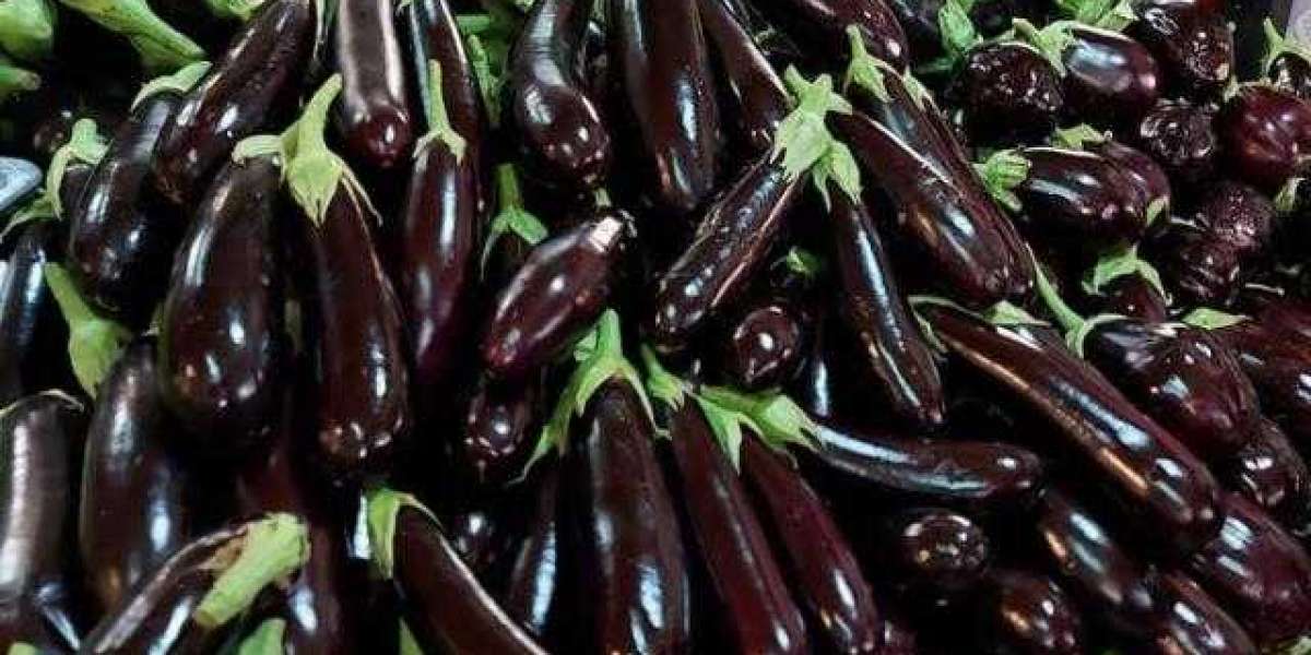 Hangi Patlıcan Acı Olmaz? Acı Patlıcan Nasıl Anlaşılır?