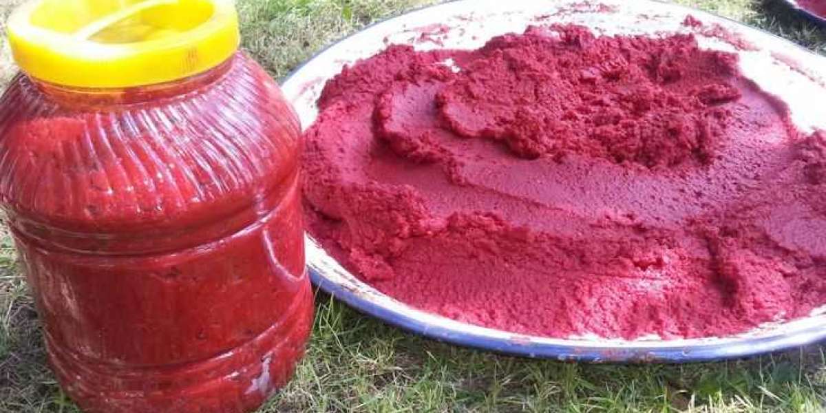 Salça Plastik Kapta Saklanır mı? Kışlık Salça Nasıl Saklanır?