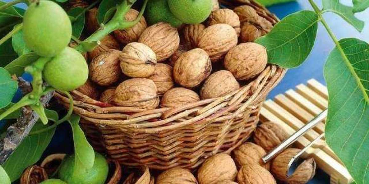 Ceviz Nedir Faydaları Nelerdir? Ceviz Nedir Kısaca Tanımı?
