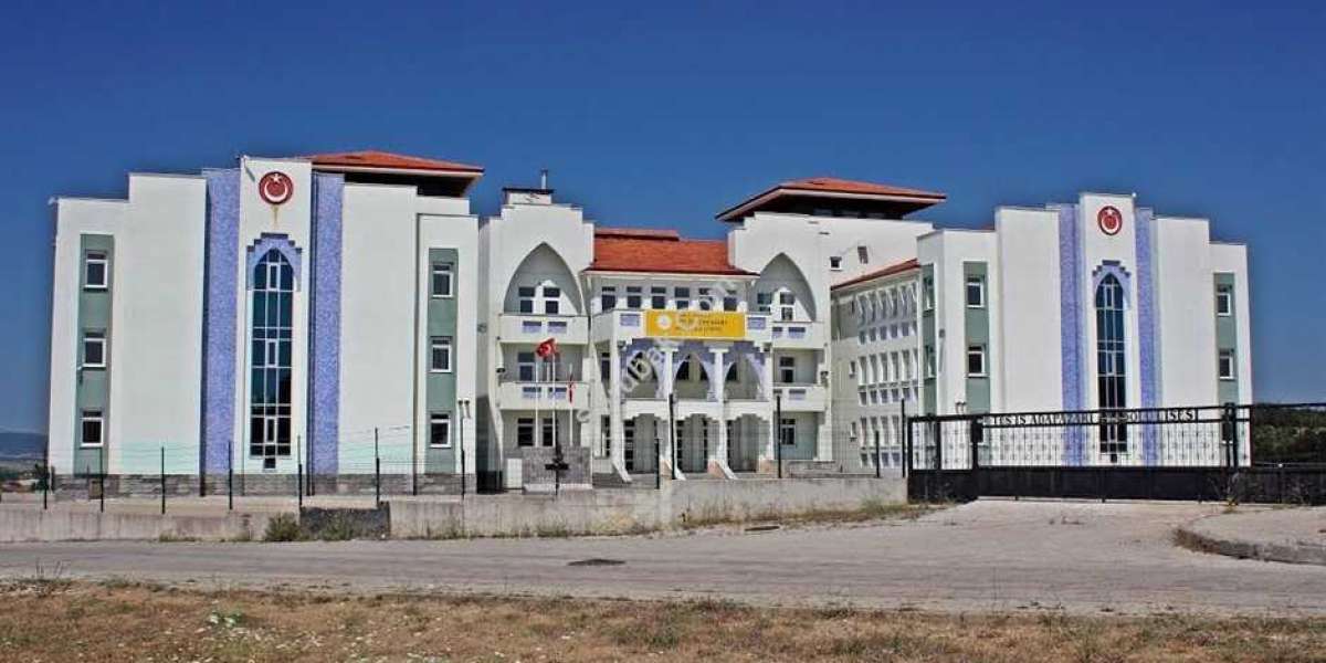 Tercüman Olmak İçin Hangi Liseye Gitmeliyim?