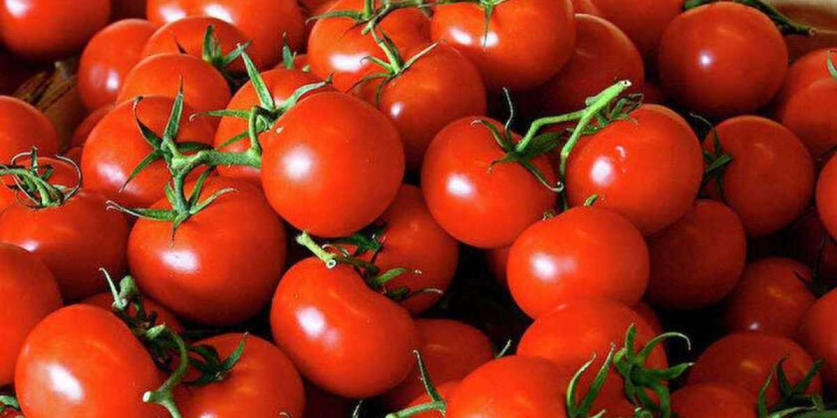 1 Litrelik Kavanoz Kaç Kilo Domatesten? Domates Konservesi Püf Noktaları?