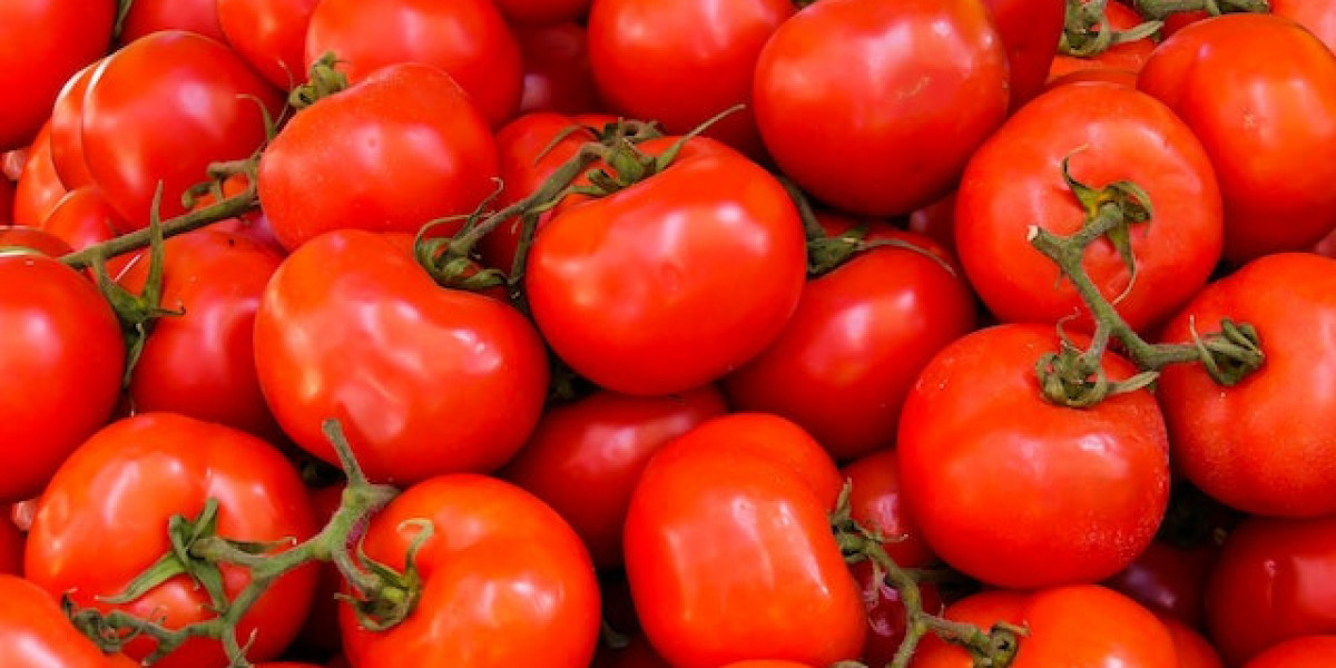 1 Domatesin Kalorisi? Domates Kaç Kalori? 1 Çeri Domates Kalorisi?