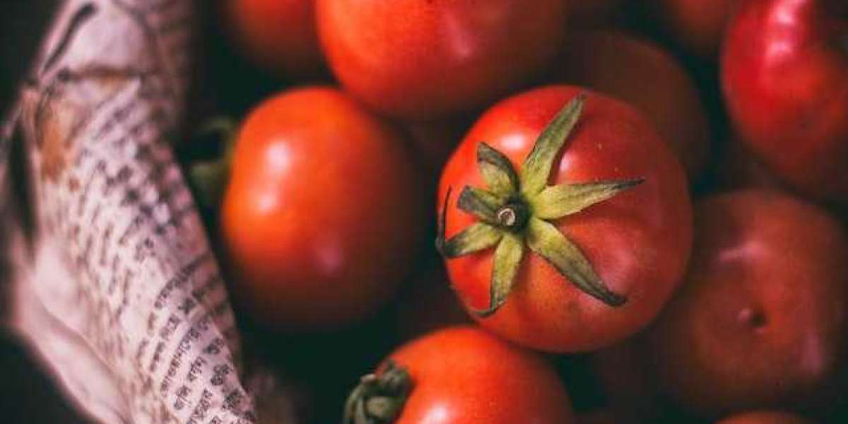 1 Kilo Domatesten Ne Kadar Salça Çıkar? 1 Kilo Salça Ne Kadar Domatesten Çıkar?